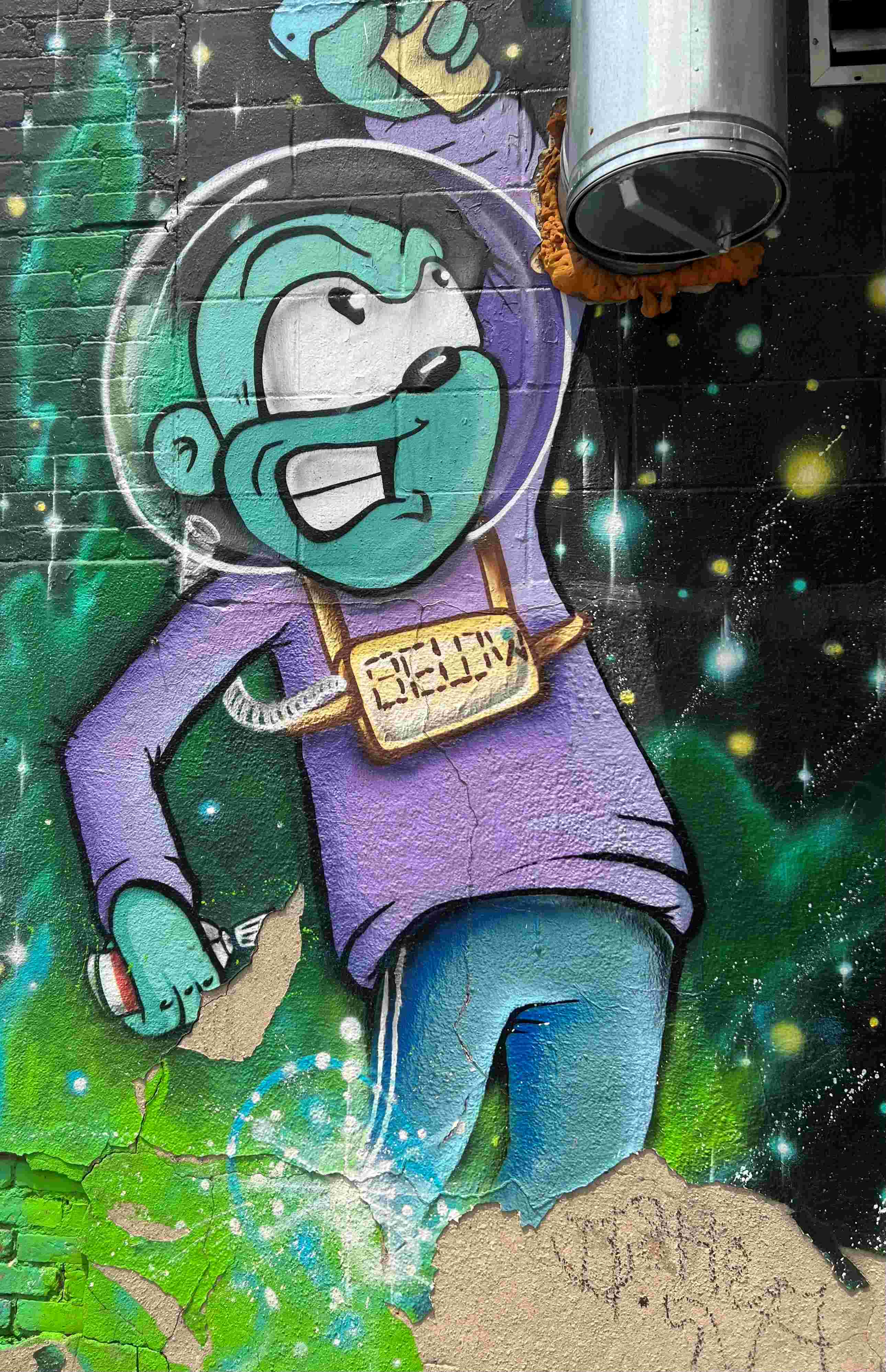 Green monkey with spaceship hat and sign saying BELOW